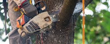 Soil Testing and Treatment in Fair Haven, NY
