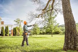 How Our Tree Care Process Works  in  Fair Haven, NY
